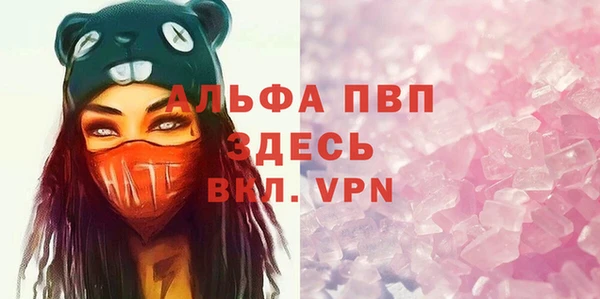 индика Алексин