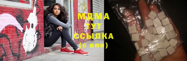 индика Алексин