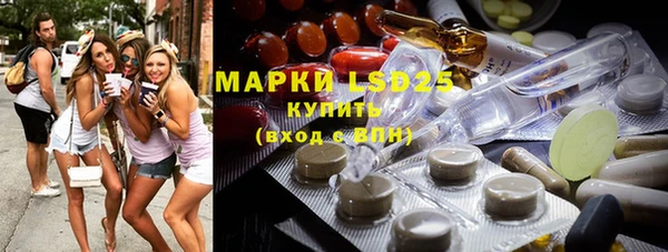 индика Алексин