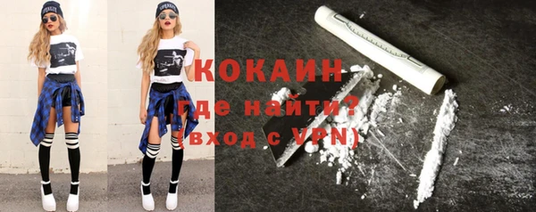 индика Алексин